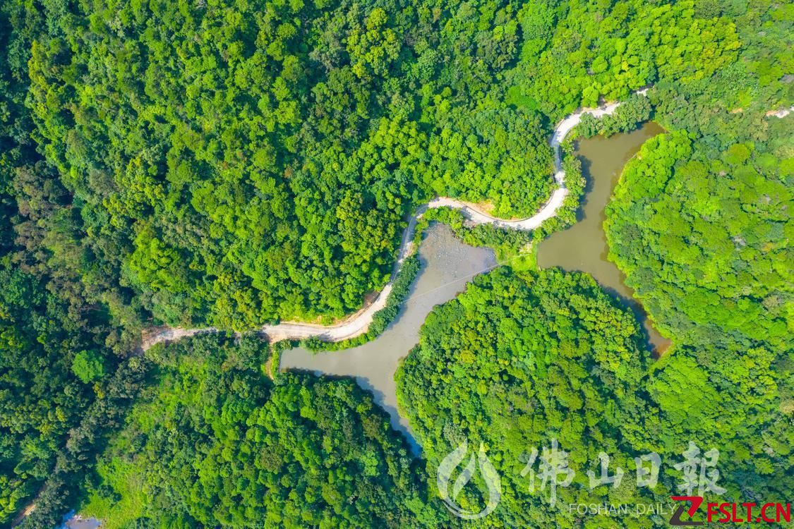 高明獲評“四好農(nóng)村路”全國示范縣