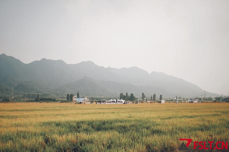 三水南山鎮(zhèn)舉行鄉(xiāng)村振興成果“分享薈”